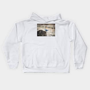 "White-Breasted Nuthatch" Kids Hoodie